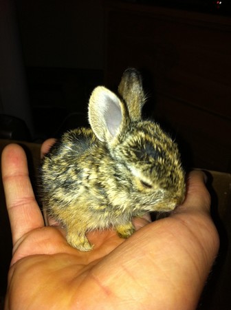 天子特區030 (5) 天子特區030 (5)