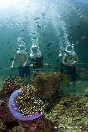 天子特區979 (12) 天子特區979 (12)