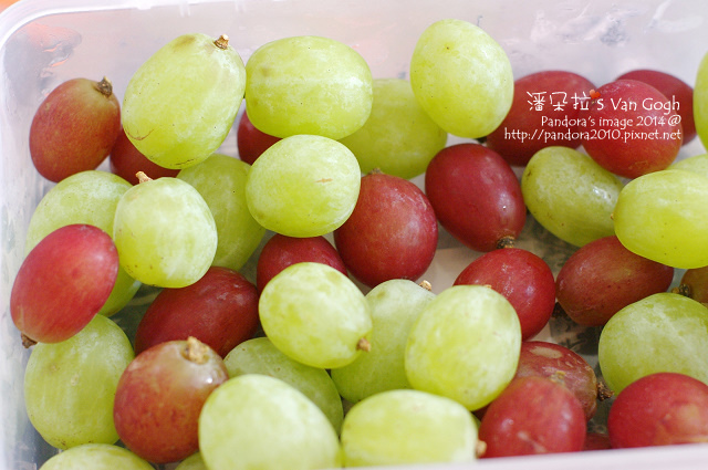 2014.09.30-葡萄.jpg 2014.09.30-葡萄.jpg