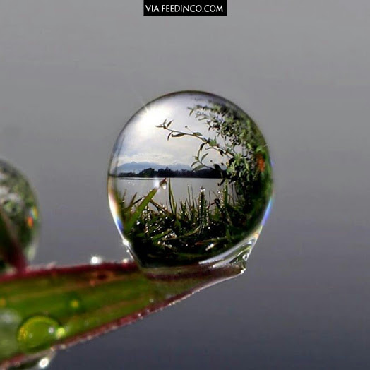 010_20131103_Bernd. F 010_20131103_Bernd. F