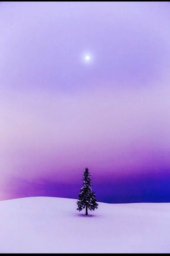 奇樹074_20131112_Ranae Kelsey