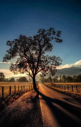 奇樹076_20131113_Manuela Vazquez