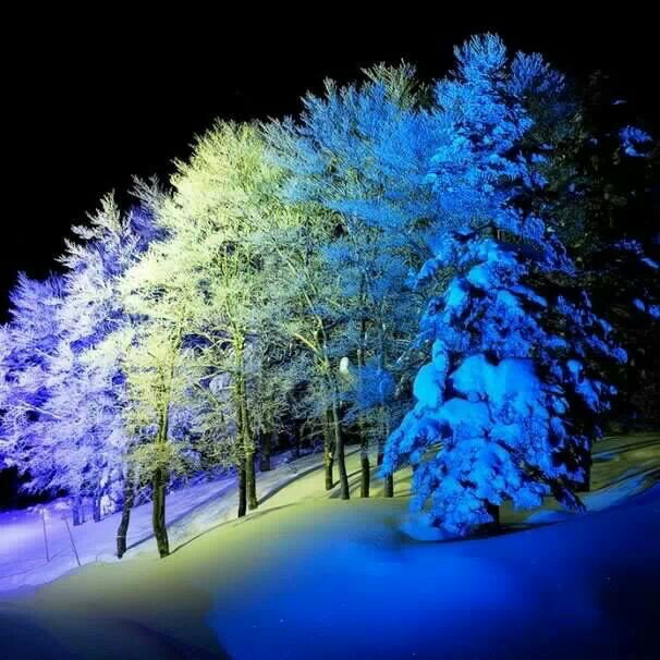 雪景017_20131212_yapa changrai