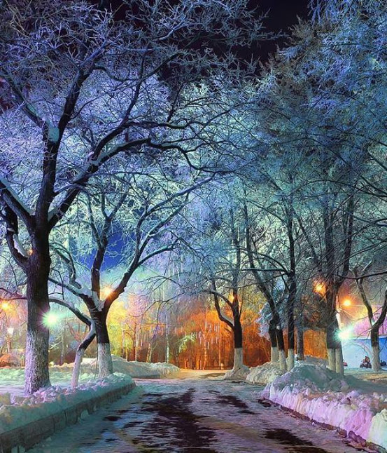 林間小徑2014-0021