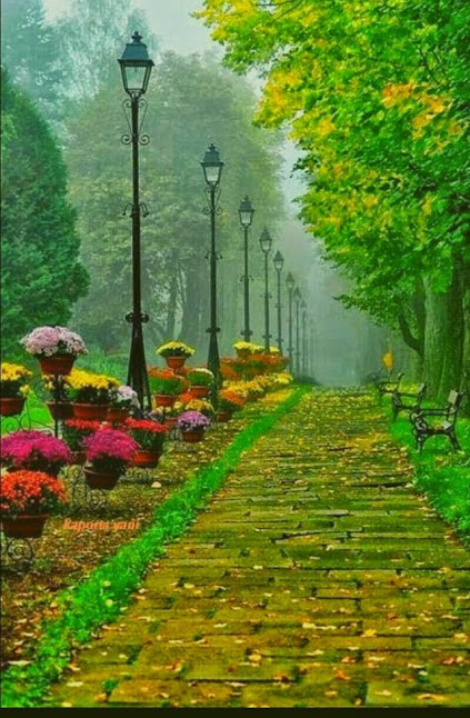 林間小徑2014-0024