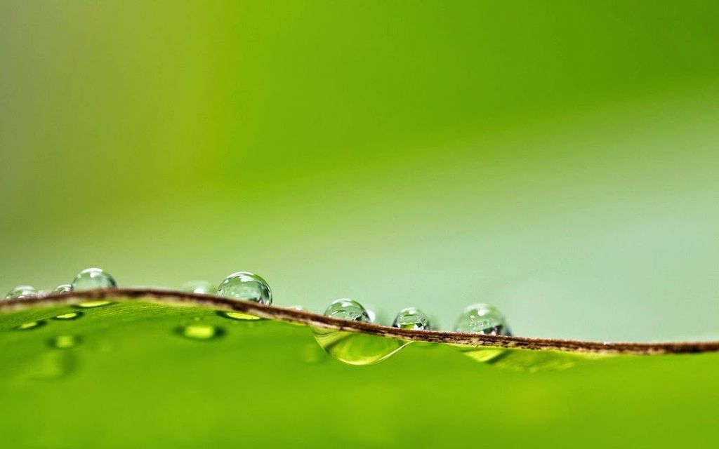 午後的輕盈2014-0105