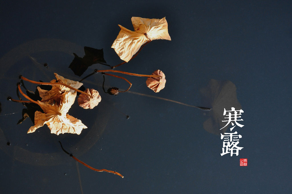 二十四节气 2011-10-16 9-08-20.瀵掗湶 二十四节气 2011-10-16 9-08-20.瀵掗湶