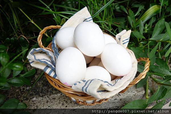 DSC09926.JPG DSC09926.JPG