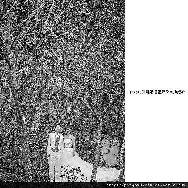 胖哥自助婚紗-婚禮紀錄-新娘秘書-1504.jpg