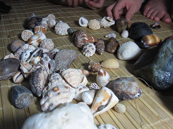 IMG_4552.jpg IMG_4552.jpg