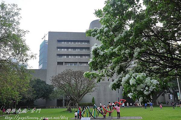 DSC_0049 DSC_0049