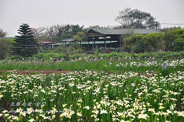 DSC_0193 DSC_0193