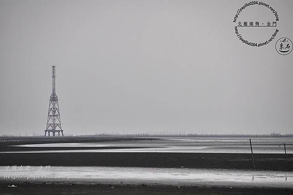 DSC_0218 DSC_0218
