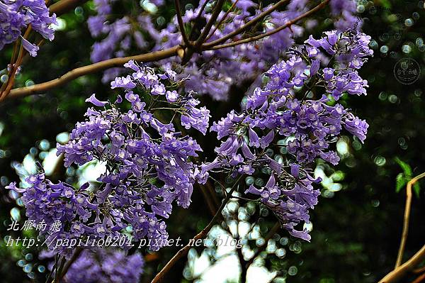 SC_0047 SC_0047