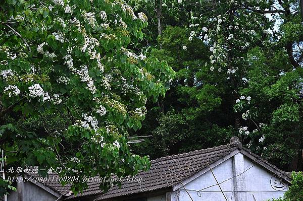 DSC_0266 DSC_0266