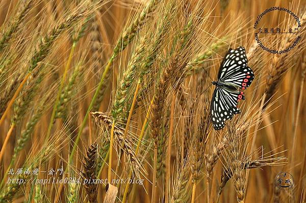 xDSC_0577 xDSC_0577