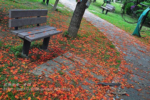 DSC_0085 DSC_0085