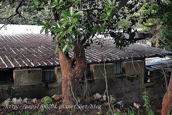 DSC_0305 DSC_0305