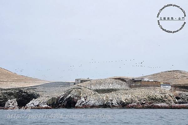 從東島(isla este)遠望北島(isla norte)上的鳥群與研究站 從東島(isla este)遠望北島(isla norte)上的鳥群與研究站