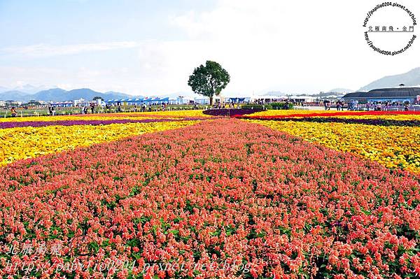 DSC_0131 DSC_0131