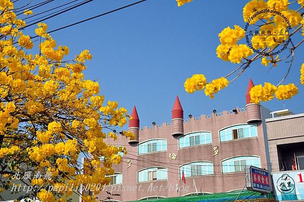 DSC_4206 DSC_4206