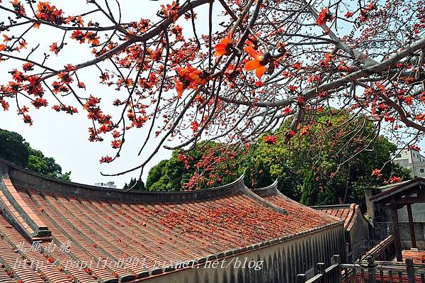 DSC_0508 DSC_0508