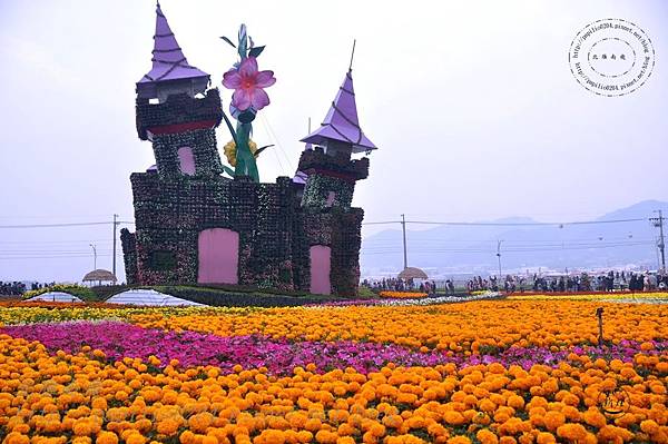 DSC_6701.JPG DSC_6701.JPG