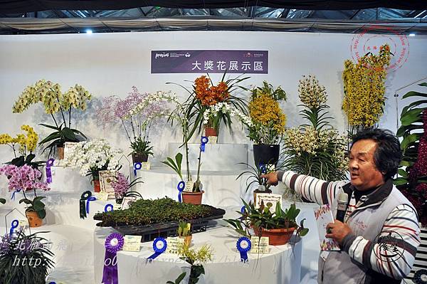 25 2014台灣國際蘭展競豔館大獎花展示區定時解說.JPG 25 2014台灣國際蘭展競豔館大獎花展示區定時解說.JPG