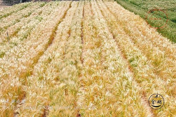 DSC_0571 DSC_0571