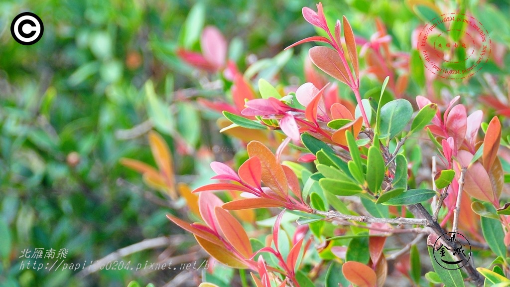 DSC_0128 DSC_0128