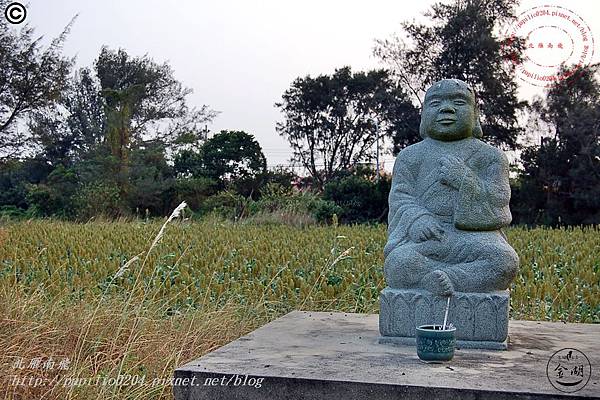 DSC_0167 DSC_0167