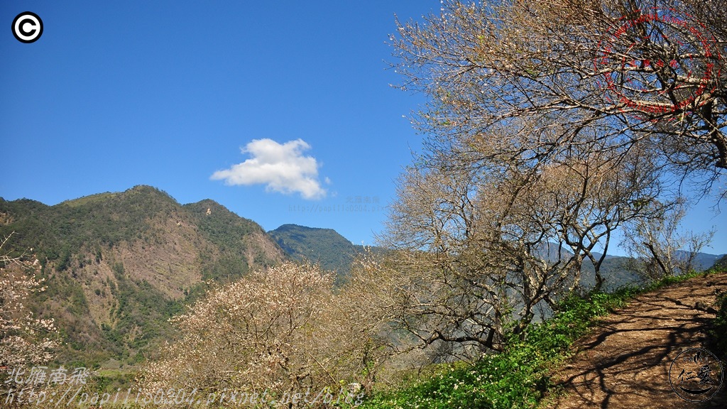 DSC_0535.JPG DSC_0535.JPG