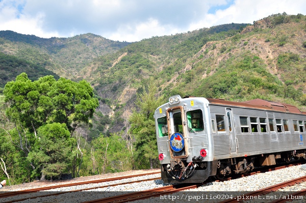 停在枋野站的光華號柴聯車DR2700型