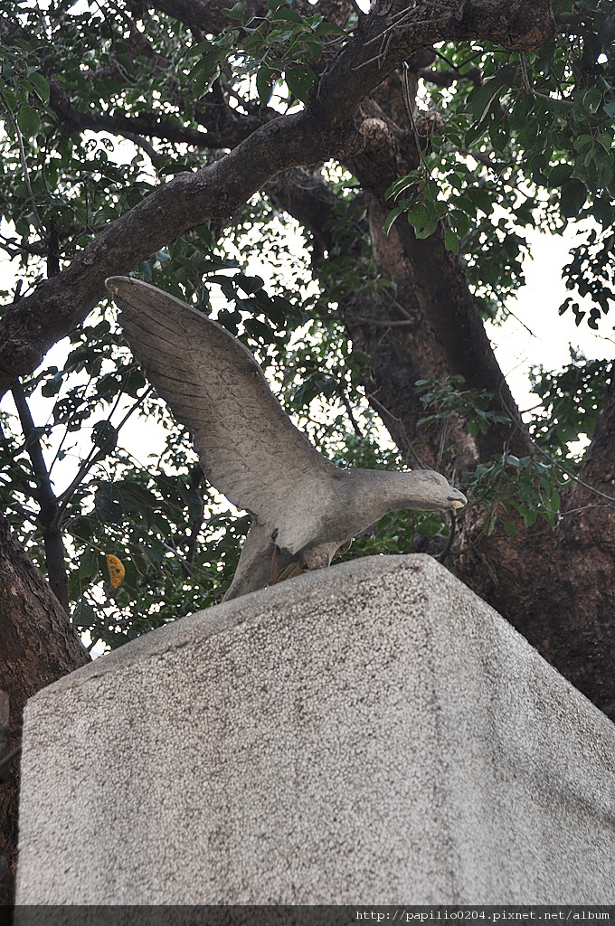 DSC_0070.JPG DSC_0070.JPG