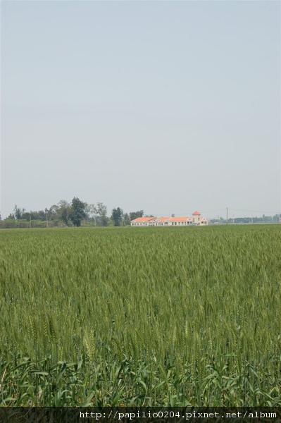 DSC_0629.JPG DSC_0629.JPG