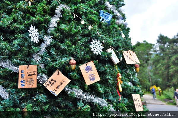 知本森林遊樂區