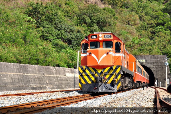 剛出坊野二號隧道的柴電機車R110