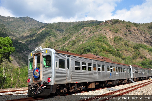 停在枋野站的光華號柴聯車DR2700型