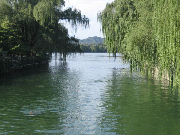 206.JPG 206.JPG