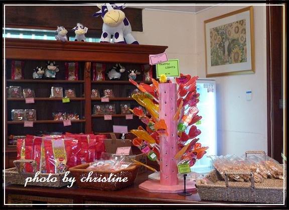 【The Candy Cow】 店內陳設