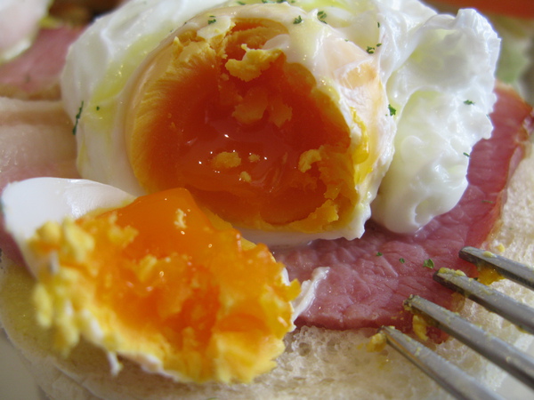 2010-03-10 向Cafe 11.JPG 2010-03-10 向Cafe 11.JPG