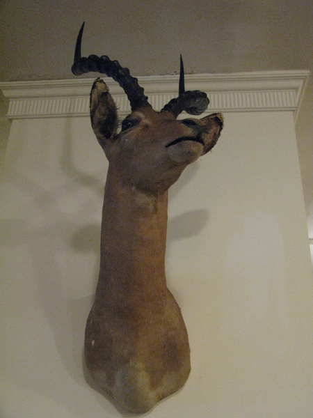 2010-03-13 長谷川先生的家 04.JPG 2010-03-13 長谷川先生的家 04.JPG