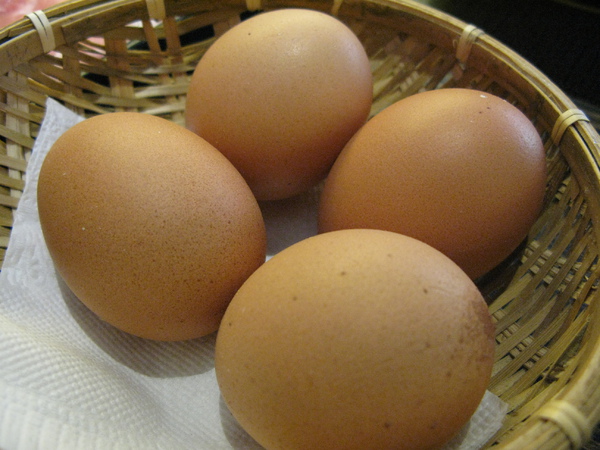 2010-03-19 深山牧場 12.JPG