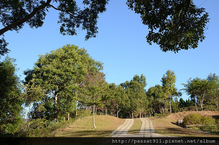 20141122新竹尖石水田營地_0042_調整大小.jpg