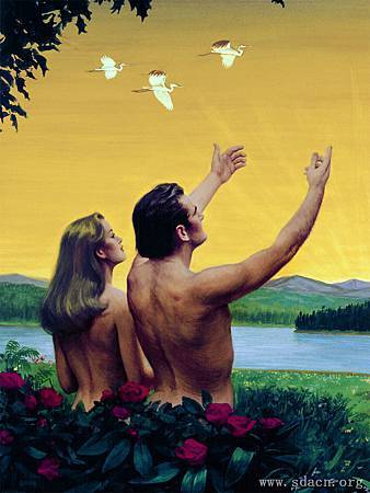 亚当夏娃4 亚当夏娃4