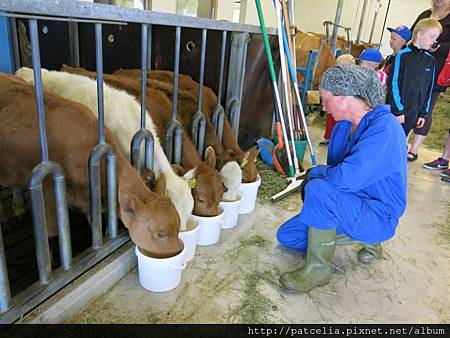 Vogafjos Cowshed Caf&eacute;