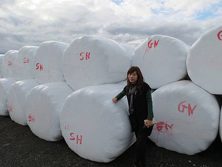 Vogafjos Cowshed Caf&eacute;