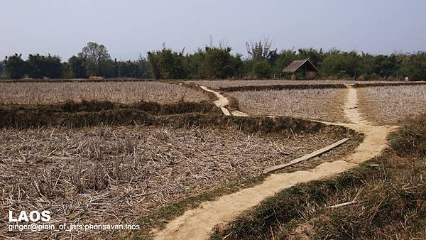 10.03.07on the way back to our minivan.jpg