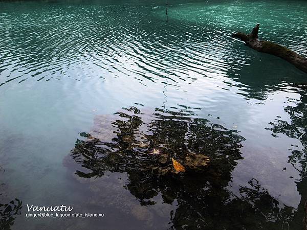 10.10.06still Blue Lagoon.JPG 10.10.06still Blue Lagoon.JPG