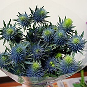 nEO_IMG_DSC04131.jpg nEO_IMG_DSC04131.jpg